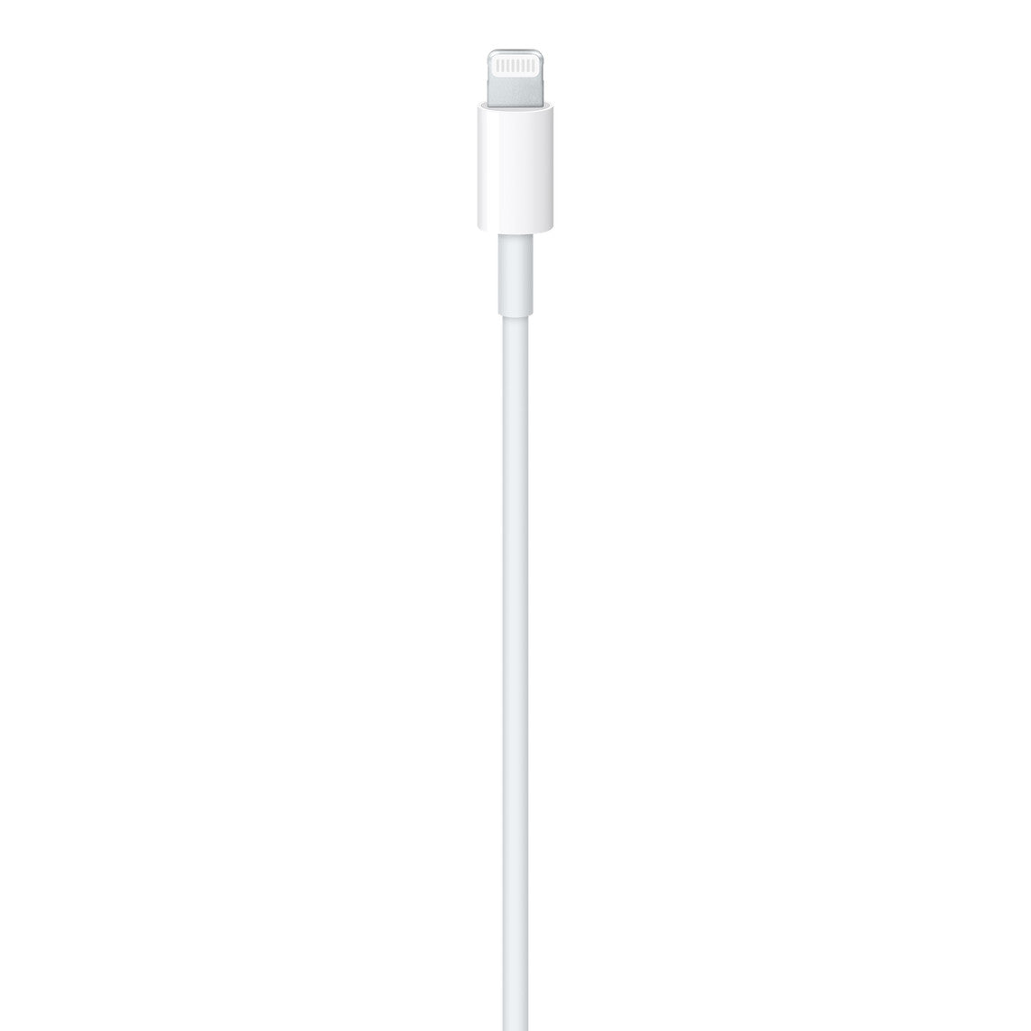 USB-C to Lightning Cable (1m) - The Basic Covers